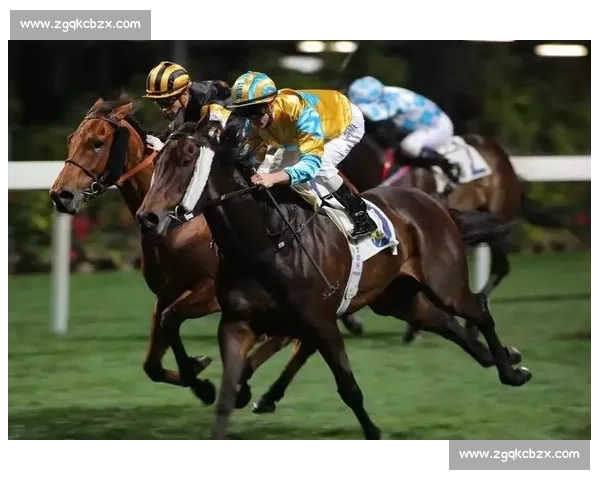 场上传奇：那些值得紧盯的顶级身影